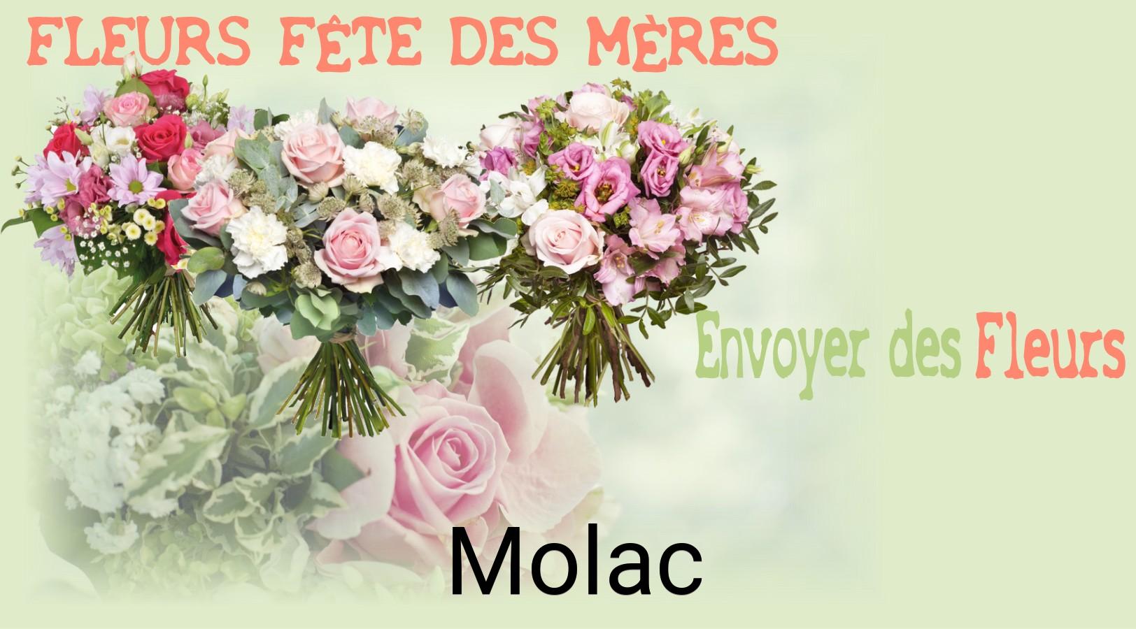 Bouquet de Fête des Mères livré à Molac